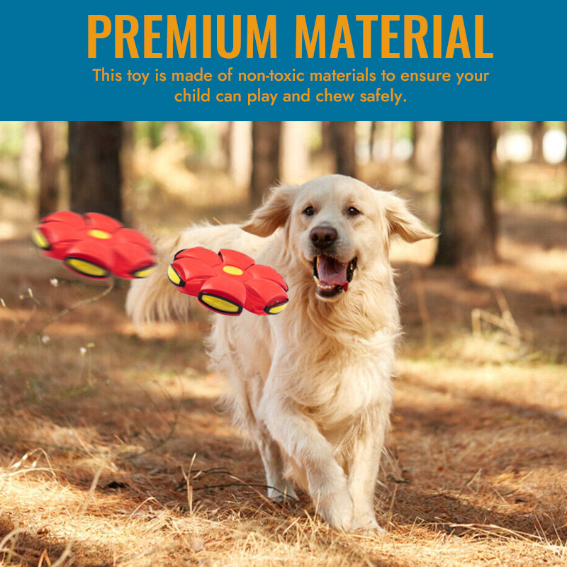 🐾Flyvende tallerkenball for kjæledyr