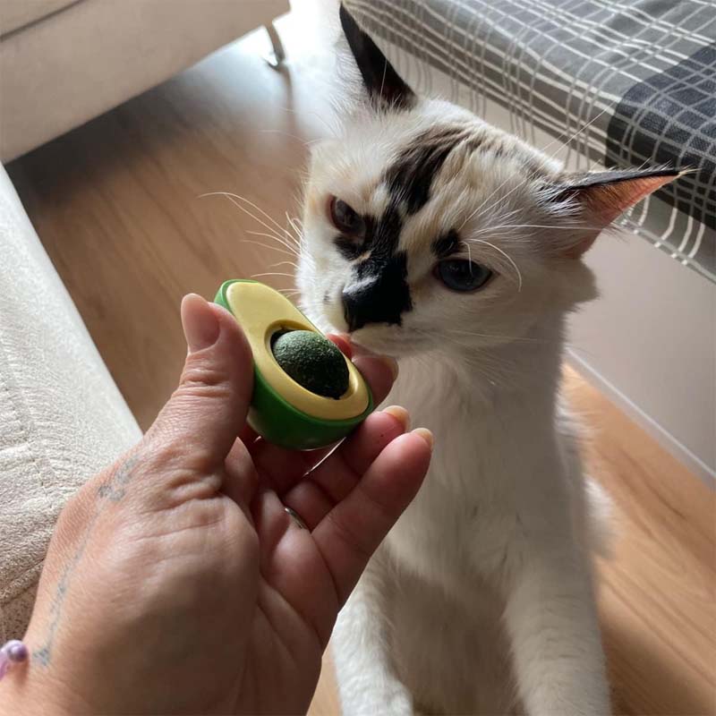 🥑🐱 Avokado- og kattemyntekuler