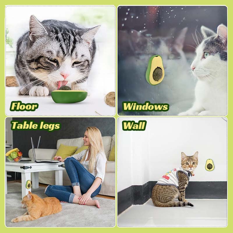 🥑🐱 Avokado- og kattemyntekuler