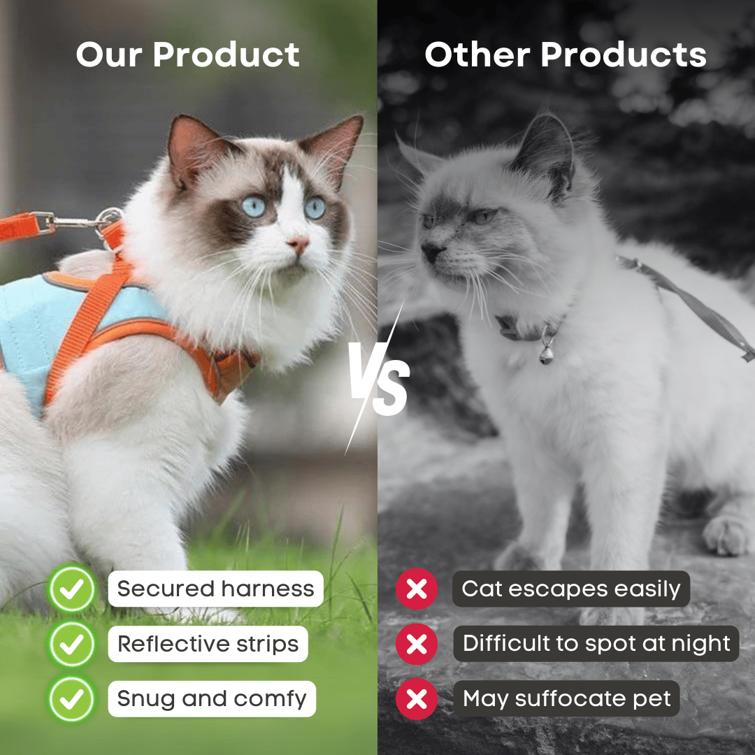 🐾 Justerbar Kattesele med Bånd – Komfort & Sikkerhet