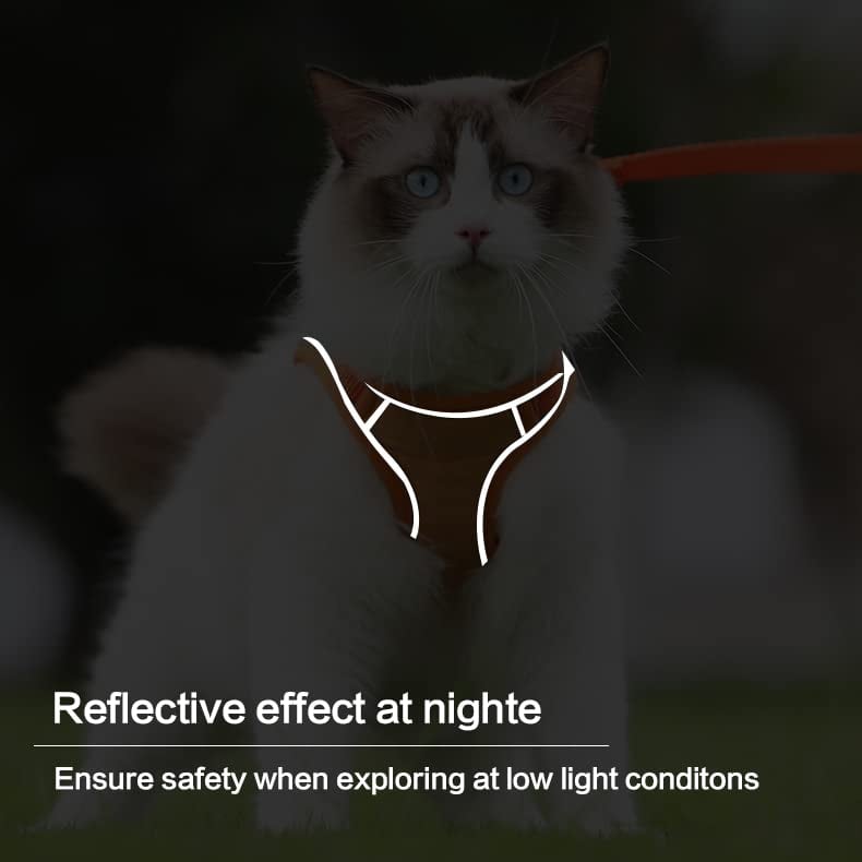 🐾 Justerbar Kattesele med Bånd – Komfort & Sikkerhet