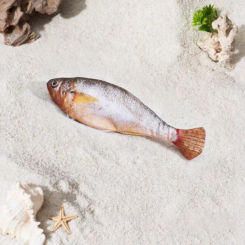 🐾 Interaktiv Fisk – Perfekt Leke for Katter